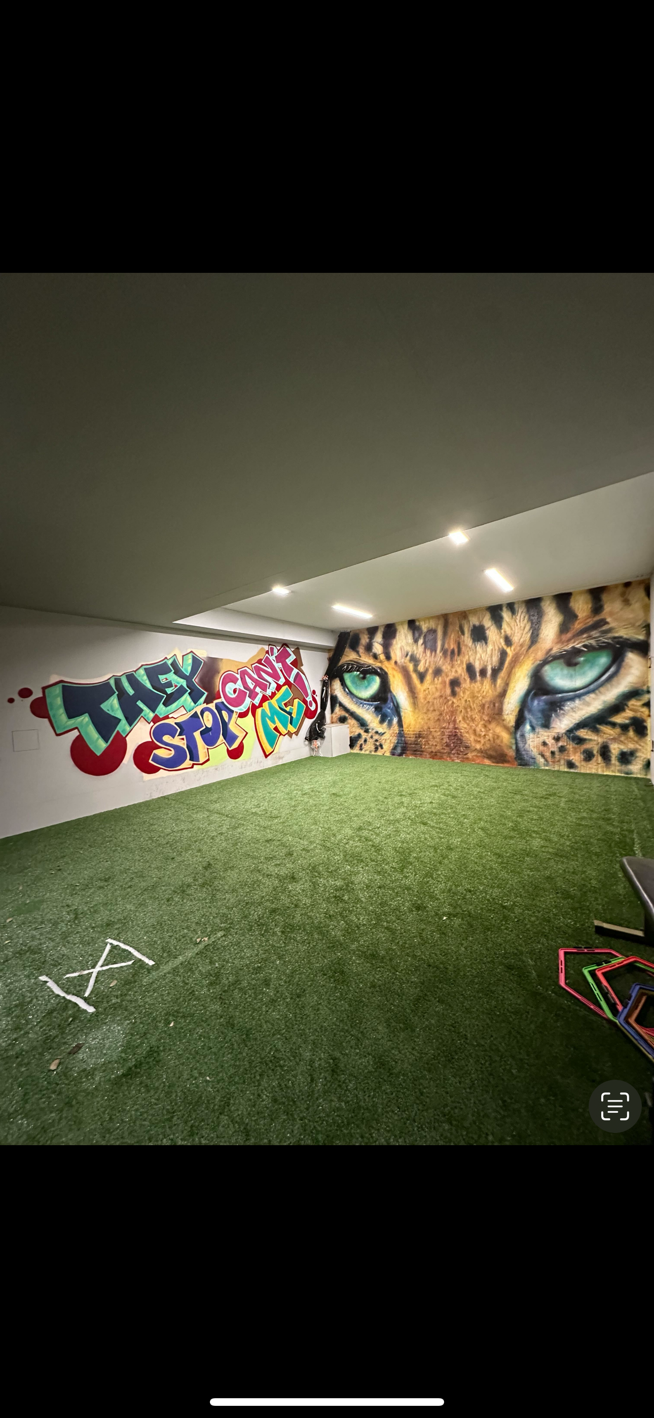 Leopard Mural